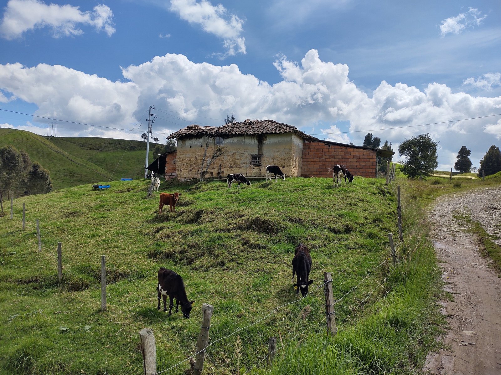 Comunidades rurales y campesinas